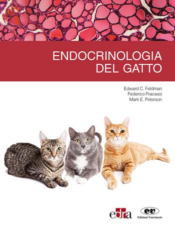 Endrocrinologia del gatto - Edward C. Feldman, Federico Fracassi, Mark E. Peterson - Libro Edra 2019 | Libraccio.it
