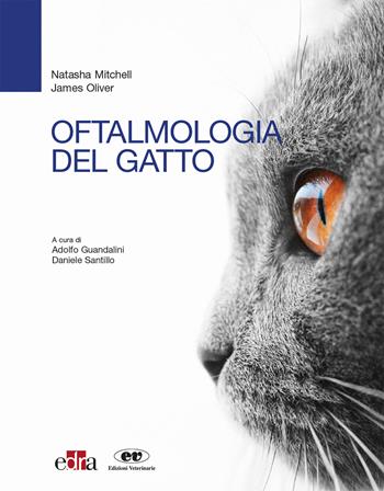 Oftalmologia del gatto - Natasha Mitchell, James Oliver - Libro Edra 2018 | Libraccio.it
