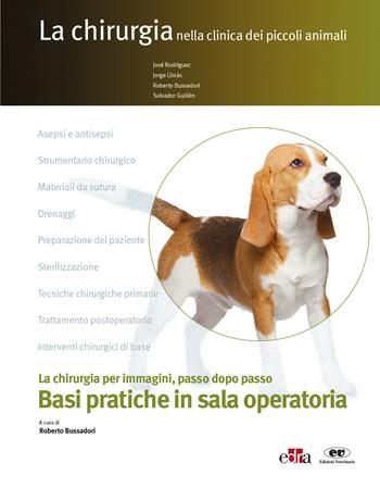 La chirurgia nella clinica dei piccoli animal. Basi pratiche in sala operatoria - José Rodríguez, Jorge Llinás, Roberto Bussadori - Libro Edra 2019, La chirurgia clinica dei piccoli animali | Libraccio.it