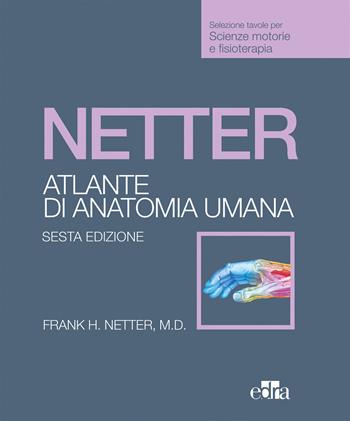 Netter. Atlante anatomia umana. Scienze motorie e fisioterapia - Frank H. Netter - Libro Edra 2019 | Libraccio.it