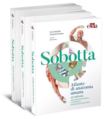 Sobotta. Atlante di anatomia umana - Friedrich Paulsen, Jens Waschke - Libro Edra 2020 | Libraccio.it