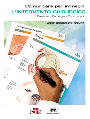 L'intervento chirurgico. Paziente-Patologia-Proprietario. Comunicare per immagini - José Rodríguez Gómez - Libro Edra 2019 | Libraccio.it