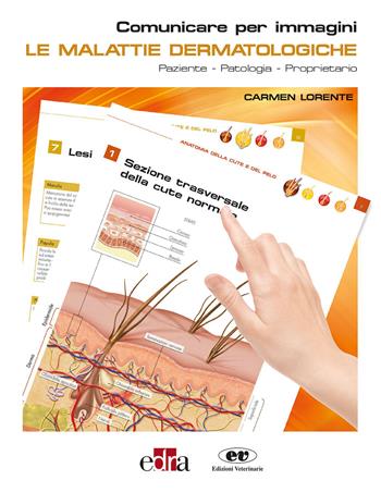 Le malattie dermatologiche. Paziente-Patologia-Proprietario. Comunicare per immagini - Carmen Lorente - Libro Edra 2019 | Libraccio.it
