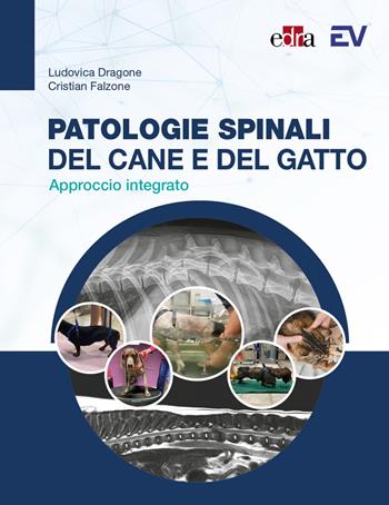 Patologie spinali del cane e del gatto. Approccio integrato - Cristian Falzone, Ludovica Dragone - Libro Edra 2023 | Libraccio.it