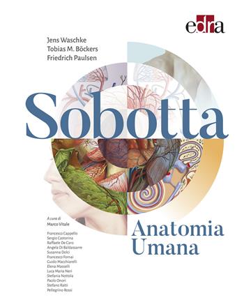 Sobotta. Anatomia umana - Jens Waschke, Tobias M. Bockers, Friedrich Paulsen - Libro Edra 2020 | Libraccio.it