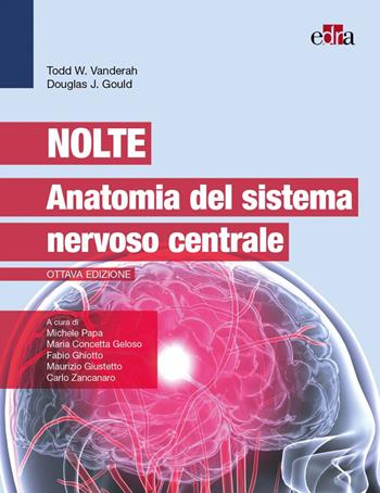 Nolte. Anatomia del sistema nervoso centrale - Todd W. Vanderah, Douglas J. Gould - Libro Edra 2022 | Libraccio.it
