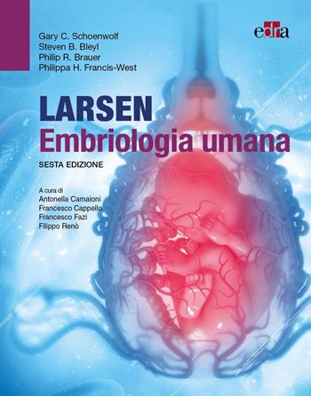 Larsen embriologia umana - Gary C Schoenwolf, Steven B. Bleyl, Philip R. Brauer - Libro Edra 2022 | Libraccio.it