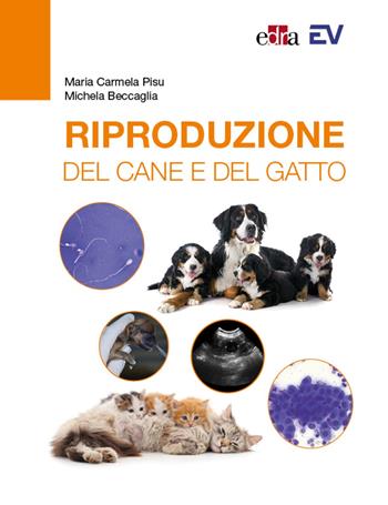 Riproduzione del cane e del gatto - Maria Carmela Pisu, Michela Beccaglia - Libro Edra 2024 | Libraccio.it