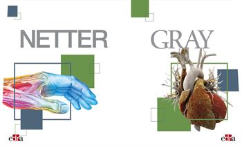 Netter Gray. L'anatomia: Anatomia del Gray-Atlante di anatomia umana di Netter - Frank H. Netter, Susan Standring - Libro Edra 2022 | Libraccio.it