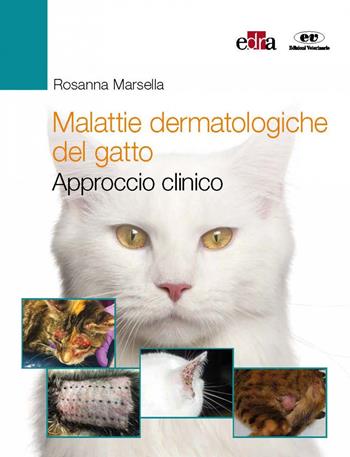 Malattie dermatologiche del gatto. Approccio clinico - Rosanna Marsella - Libro Edra 2021 | Libraccio.it
