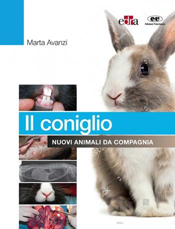Il coniglio. Nuovi animali da compagnia - Marta Avanzi - Libro Edra 2022 | Libraccio.it