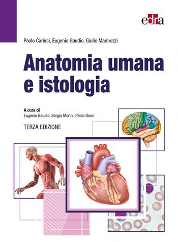 Anatomia umana e istologia - Paolo Carinci, Eugenio Gaudio, Giulio Marinozzi - Libro Edra 2022 | Libraccio.it
