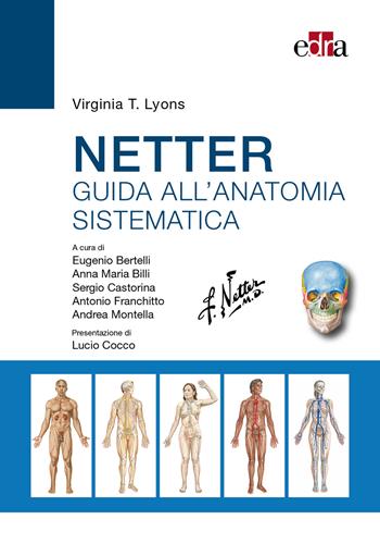 Netter. Guida all'anatomia sistematica - Virginia T. Lyons - Libro Edra 2022 | Libraccio.it