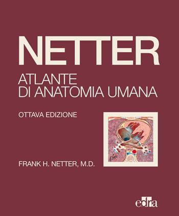 Netter. Atlante di anatomia umana - Frank H. Netter - Libro Edra 2022 | Libraccio.it