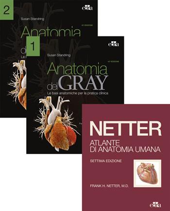 Netter Gray. L'anatomia: Anatomia del Gray-Atlante di anatomia umana di Netter - Frank H. Netter, Susan Standring - Libro Edra 2022 | Libraccio.it