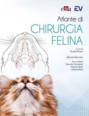 Atlante di chirurgia felina - Alberto Barneto, Anna Calvet, Salvador Cervantes - Libro Edra 2024 | Libraccio.it