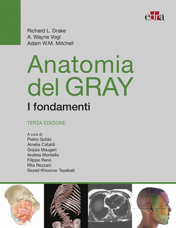 Anatomia del Gray. I fondamenti - Richard L. Drake, A. Wayne Vogl, Adam W. Mitchell - Libro Edra 2023 | Libraccio.it