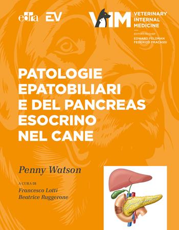Patologie epatobiliari e del pancreas esocrino nel cane - Edward C. Feldman, Penny Watson, Federico Fracassi - Libro Edra 2025 | Libraccio.it