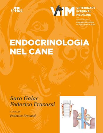 Endocrinologia del cane - Sara Galac, Federico Fracassi - Libro Edra 2026 | Libraccio.it