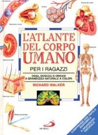 L' atlante del corpo umano per i ragazzi. Ossa, muscoli e organi a grandezza naturale a colori - Richard Walker - Libro San Paolo Edizioni 1997, Atlanti | Libraccio.it