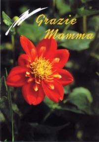 Grazie mamma  - Libro San Paolo Edizioni 1998, Amico | Libraccio.it