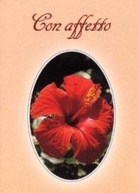 Con affetto  - Libro San Paolo Edizioni 2000, Amico | Libraccio.it