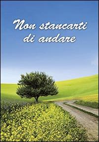 Non stancarti di andare  - Libro San Paolo Edizioni 2014, Amico | Libraccio.it