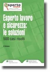 Esperto lavoro e sicurezza. Le soluzioni. 500 casi risolti  - Libro Ipsoa 2010, Esperto | Libraccio.it