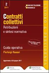 Contratti collettivi. Retribuzione e sintesi normativa - Pierluigi Rausei - Libro Ipsoa 2011, Amministrazione & personale | Libraccio.it