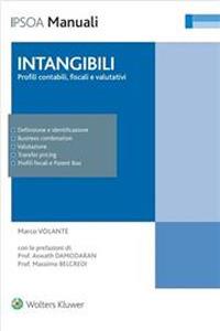 Intangibili: profili contabili fiscali e valutativi - Aswath Damodaran, Massimo Belcredi - Libro Ipsoa 2023, Guide operative | Libraccio.it