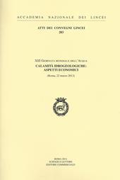 Calamità idrogeologiche. Aspetti economici. 13ª Giornata mondiale dell'acqua (Roma, 22 marzo 2013)