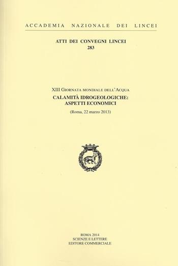 Calamità idrogeologiche. Aspetti economici. 13ª Giornata mondiale dell'acqua (Roma, 22 marzo 2013)  - Libro Accademia Naz. dei Lincei 2014, Atti dei convegni Lincei | Libraccio.it