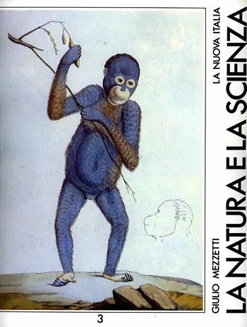 La natura e la scienza. Osservazioni scientifiche per la Scuola media. Vol. 3 - Giulio Mezzetti - Libro La Nuova Italia 1982 | Libraccio.it