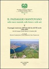 Il paesaggio mantovano nelle tracce materiali, nelle lettere e nelle arti. Atti del Convegno di studi (Mantova, 5-6 dicembre 2006). Vol. 5: Il paesaggio mantovano dall'Unità alla fine del XX secolo (1866-2000)