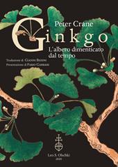 Ginkgo. L'albero dimenticato dal tempo