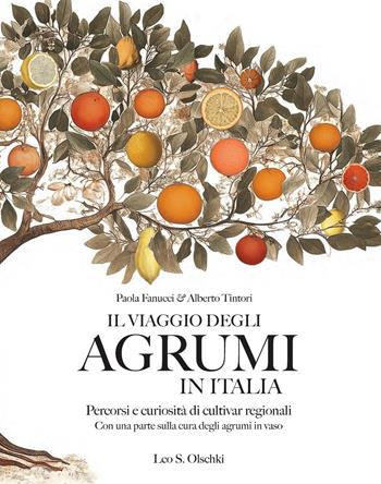 Il viaggio degli agrumi in Italia. Percorsi e curiosità di cultivar regionali. Con una parte sulla cura degli agrumi in vaso. Ediz. a colori - Paola Fanucci, Alberto Tintori - Libro Olschki 2025, Giardini e paesaggio | Libraccio.it