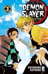 Demon slayer. Kimetsu no yaiba. Vol. 3