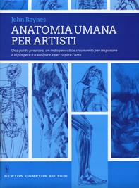 Anatomia umana per artisti. Ediz. illustrata - John Raynes - Libro Newton Compton Editori 2017, Grandi manuali Newton | Libraccio.it