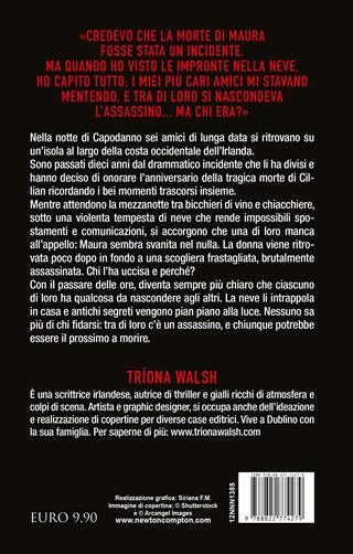Notte di neve e sangue - Triona Walsh - Libro Newton Compton Editori 2024, Nuova narrativa Newton | Libraccio.it