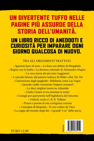 Fatti incredibili della storia che non ti hanno mai raccontato. Dall'incendio di Roma al codice Da Vinci: tutta la verità sugli eventi più importanti e curiosi di sempre - Tom Holland, Dominic Sandbrook - Libro Newton Compton Editori 2024, Grandi manuali Newton | Libraccio.it