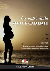 La notte delle stelle cadenti