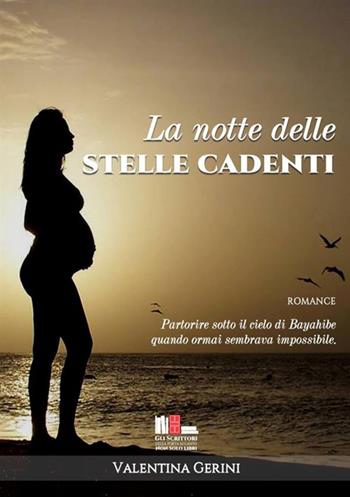 La notte delle stelle cadenti - Valentina Gerini - Libro StreetLib 2017 | Libraccio.it