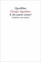 A che punto siamo? L'epidemia come politica