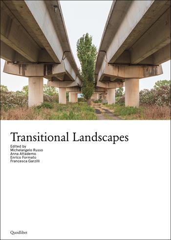 Transitional landscapes  - Libro Quodlibet 2023, Quodlibet Studio. Città e paesaggio. Fuori formato | Libraccio.it