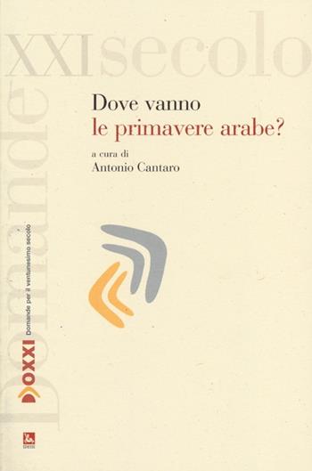 Dove vanno le primavere arabe?  - Libro Futura Editrice 2013, Doxxi. Domande per il ventunesimo secolo | Libraccio.it