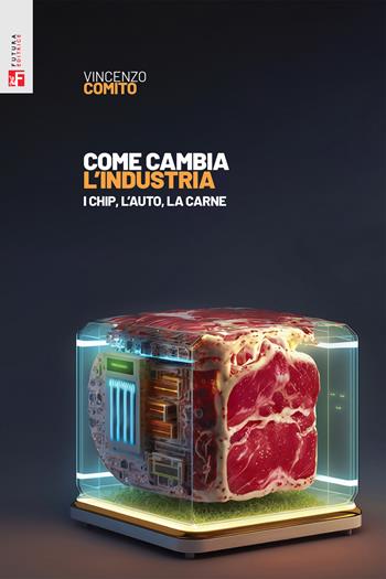 Come cambia l'industria. I chip, l'auto, la carne - Vincenzo Comito - Libro Futura 2023, Saggi | Libraccio.it