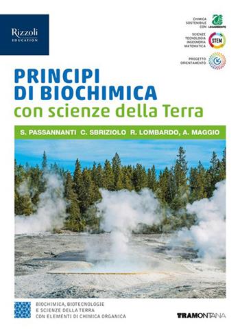 Principi di chimica sostenibile. Per il 5° anno delle Scuole superiori. - Salvatore Passannanti, Carmelo Sbriziolo, Antonella Maggio - Libro Tramontana 2025 | Libraccio.it