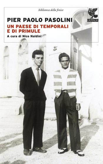 Un paese di temporali e di primule - Pier Paolo Pasolini - Libro Guanda 2015, Biblioteca della Fenice | Libraccio.it