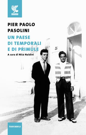 Un paese di temporali e di primule - Pier Paolo Pasolini - Libro Guanda 2019, Tascabili Guanda. Narrativa | Libraccio.it