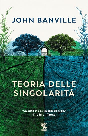 Teoria delle singolarità - John Banville - Libro Guanda 2024, Narratori della Fenice | Libraccio.it